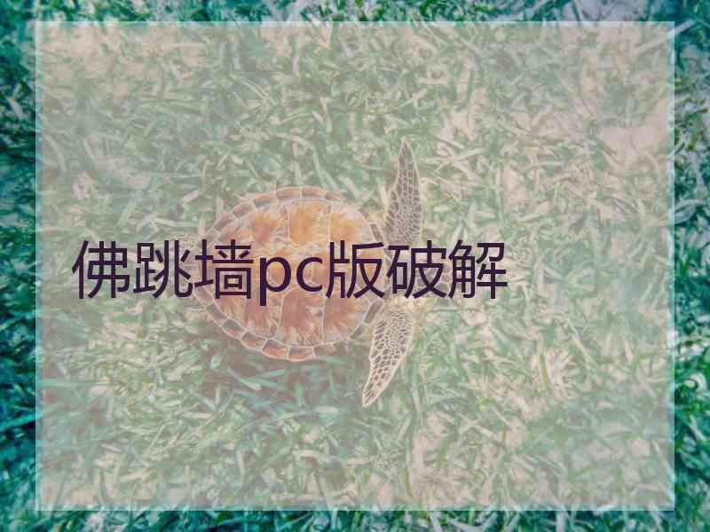 佛跳墙pc版破解