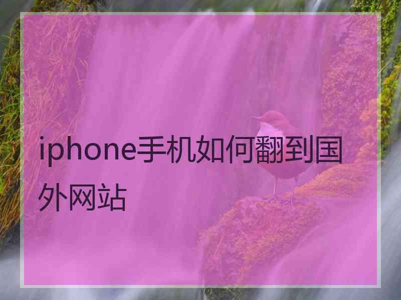 iphone手机如何翻到国外网站