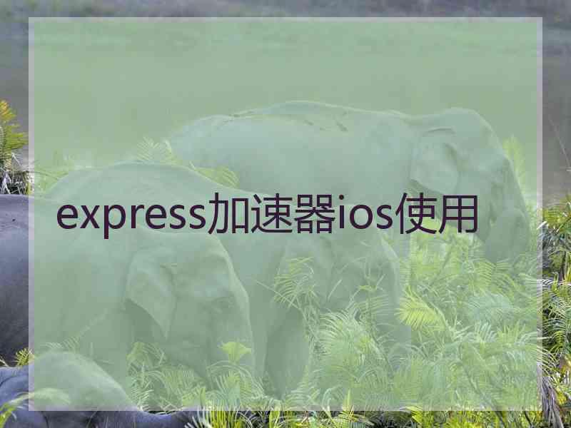 express加速器ios使用