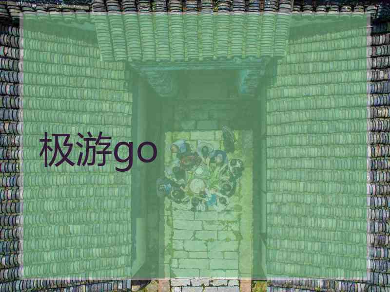 极游go