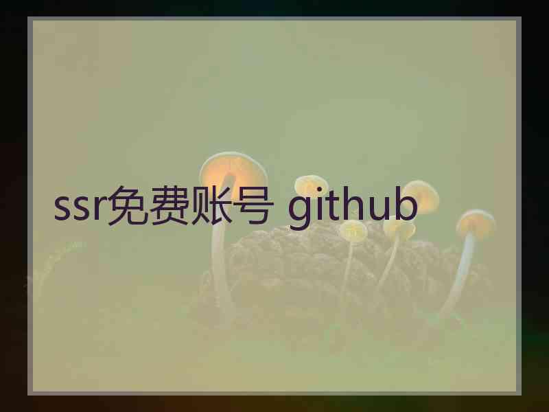 ssr免费账号 github