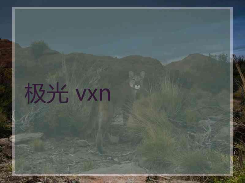 极光 vxn