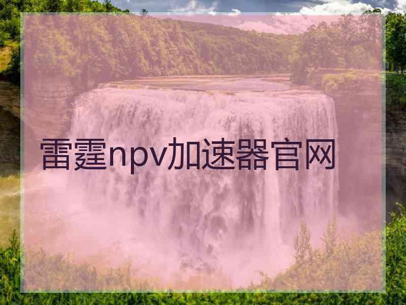 雷霆npv加速器官网