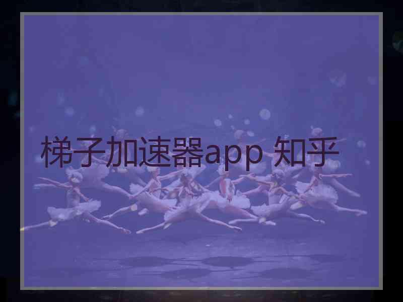 梯子加速器app 知乎