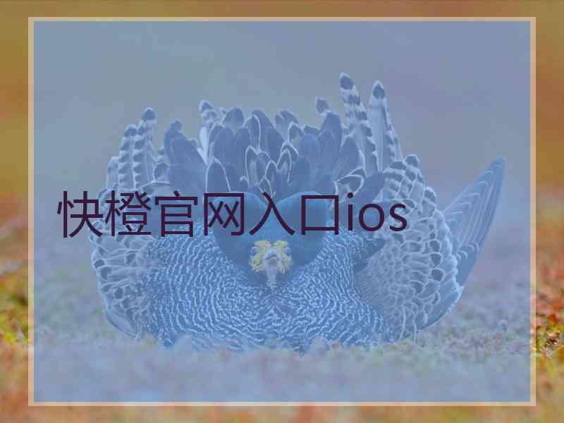 快橙官网入口ios