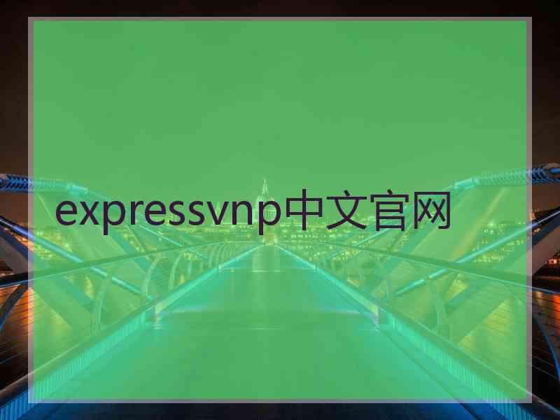 expressvnp中文官网