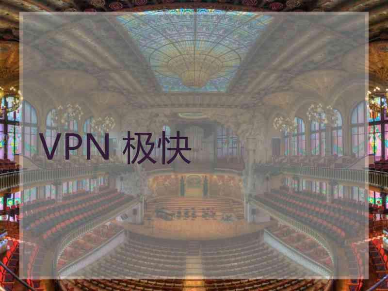 VPN 极快