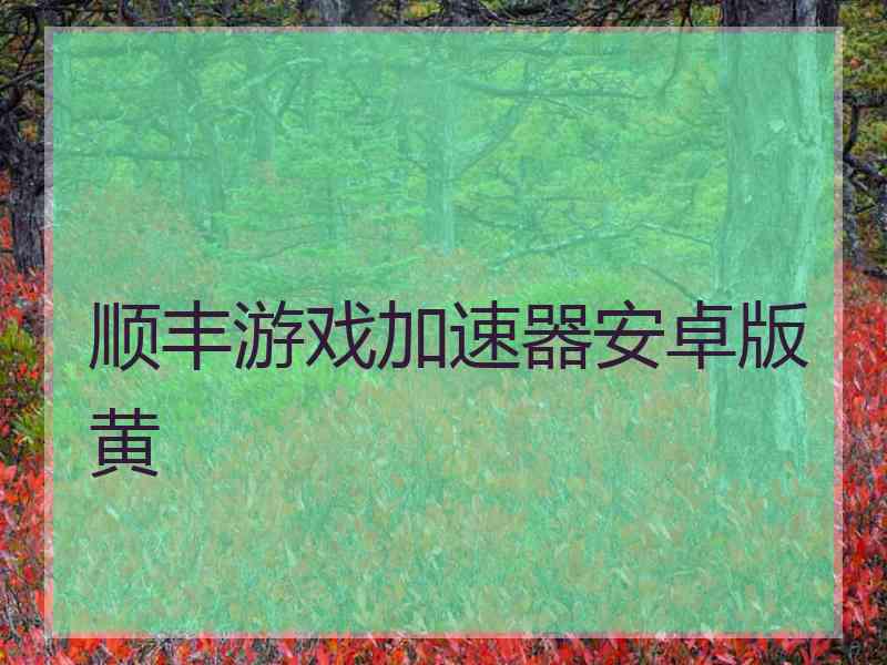 顺丰游戏加速器安卓版黄