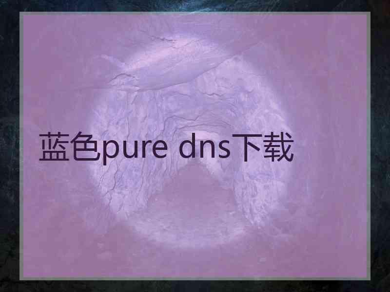 蓝色pure dns下载