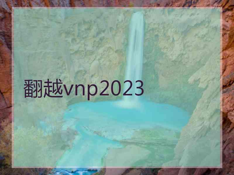 翻越vnp2023