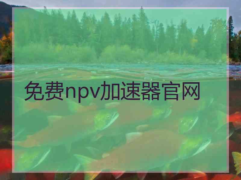 免费npv加速器官网