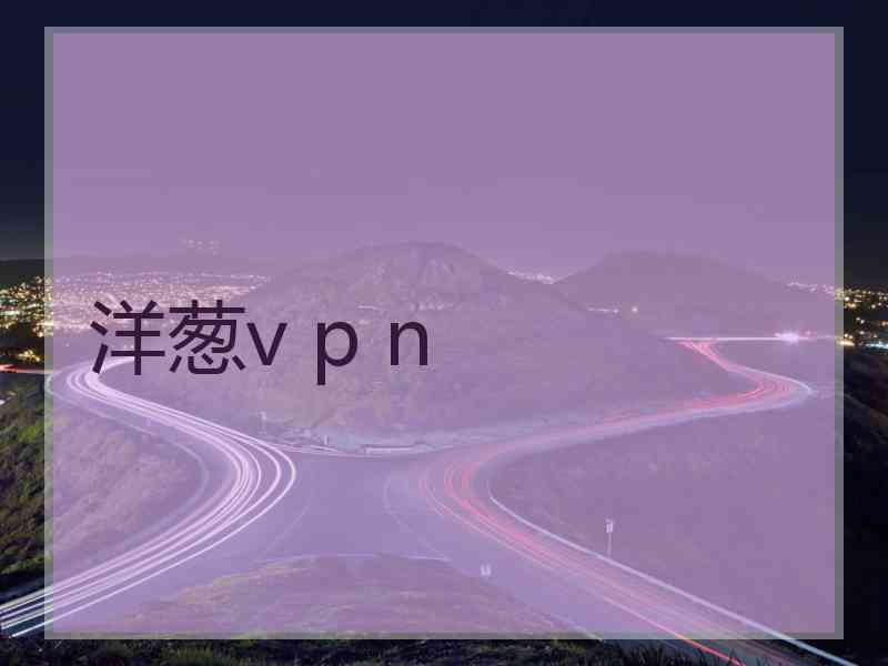 洋葱v p n