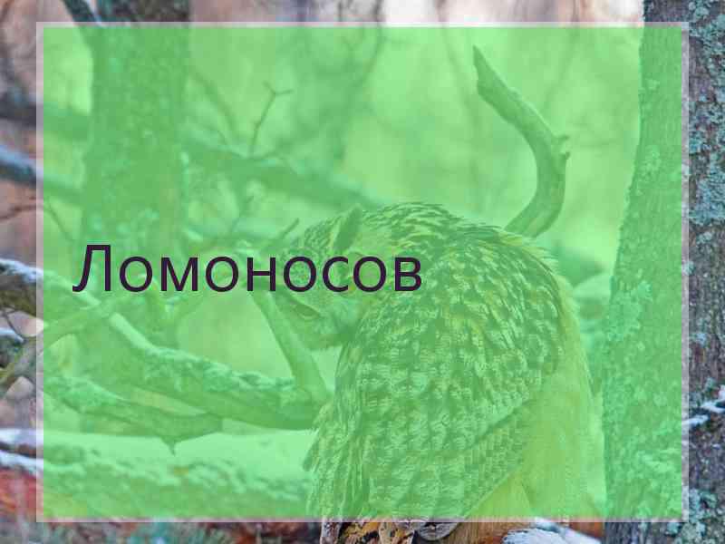 Ломоносов