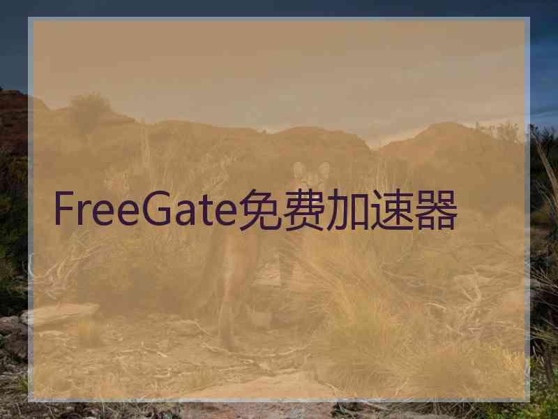 FreeGate免费加速器