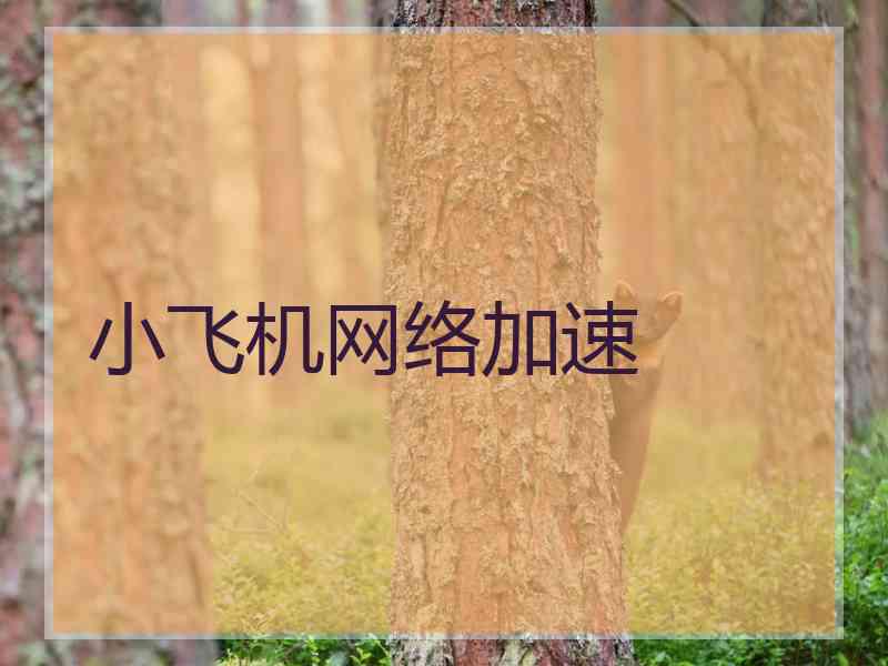 小飞机网络加速