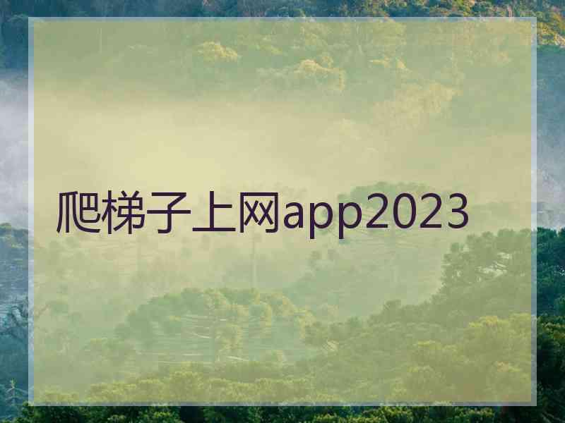 爬梯子上网app2023