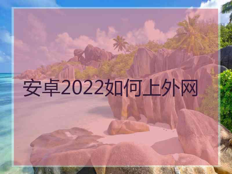 安卓2022如何上外网