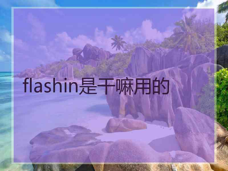 flashin是干嘛用的