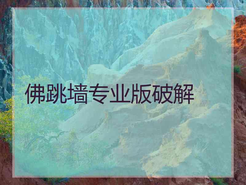 佛跳墙专业版破解