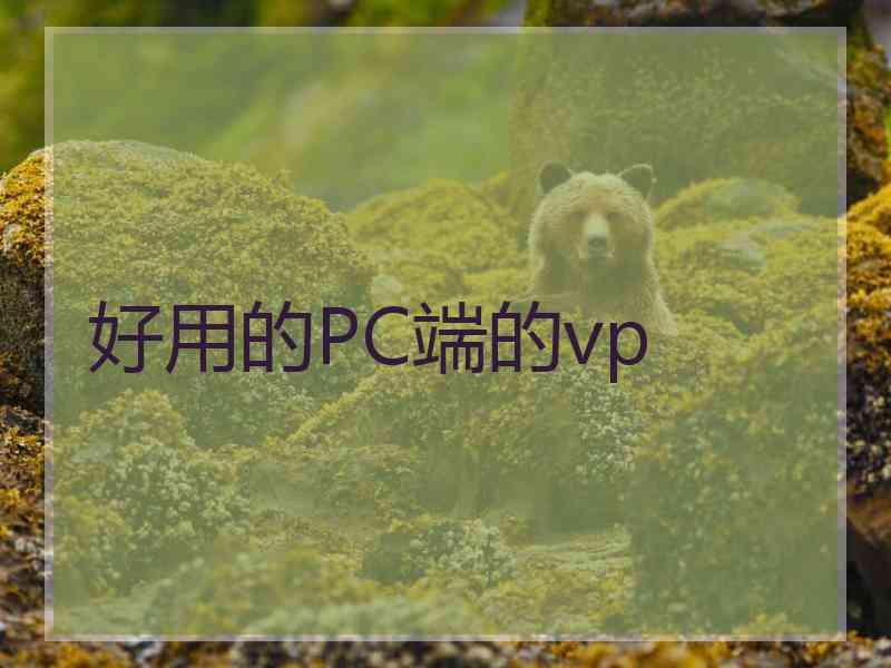 好用的PC端的vp