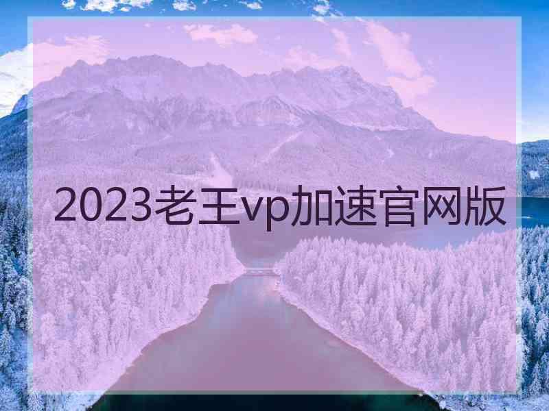 2023老王vp加速官网版