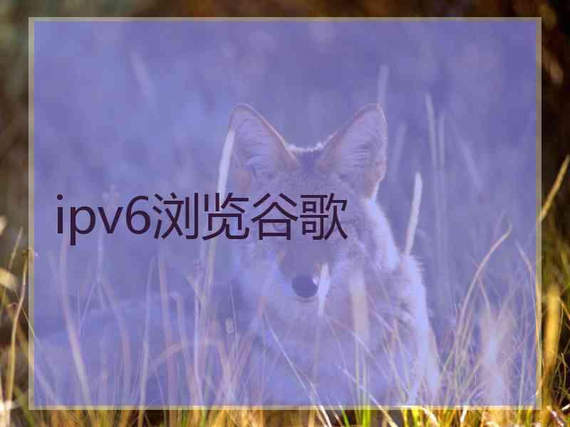 ipv6浏览谷歌