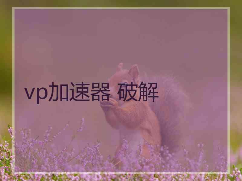 vp加速器 破解