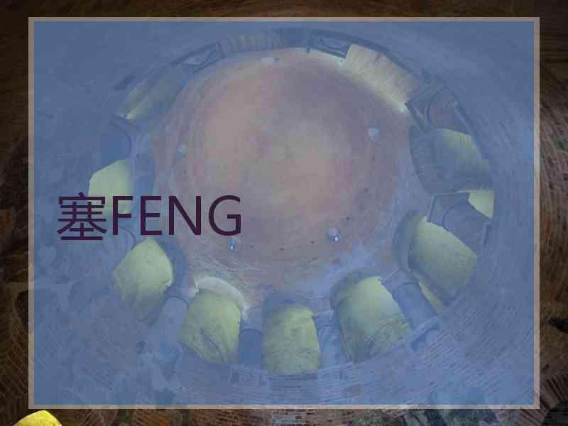 塞FENG