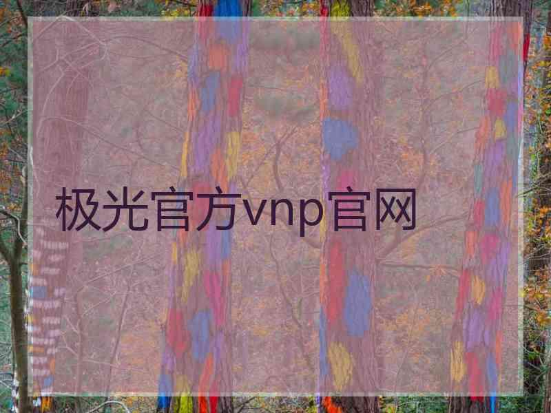 极光官方vnp官网