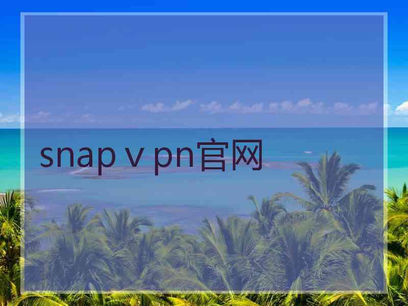 snapⅴpn官网