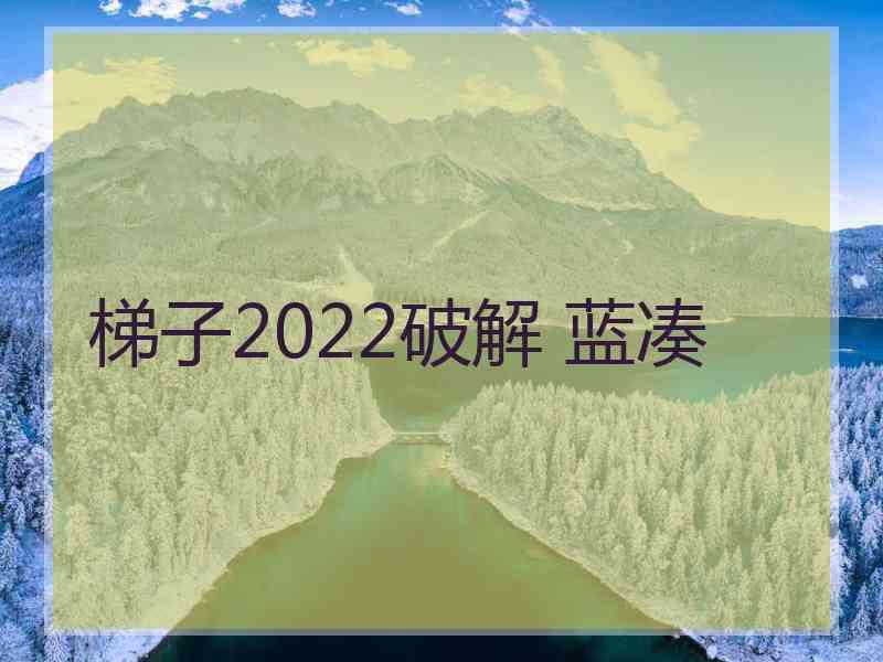 梯子2022破解 蓝凑