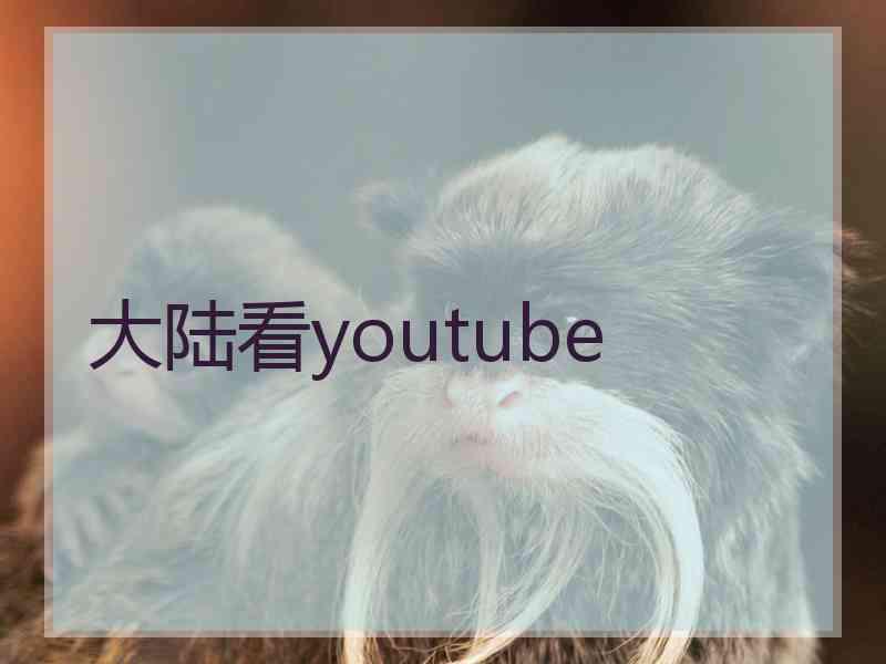 大陆看youtube