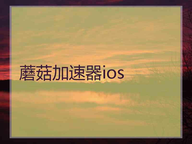 蘑菇加速器ios