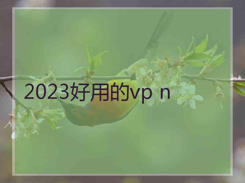 2023好用的vp n