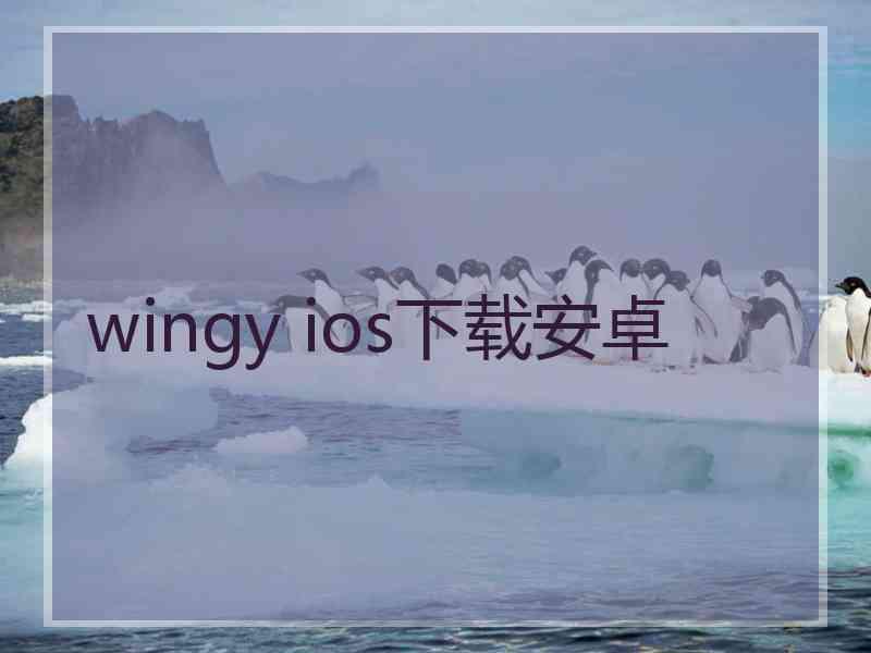 wingy ios下载安卓