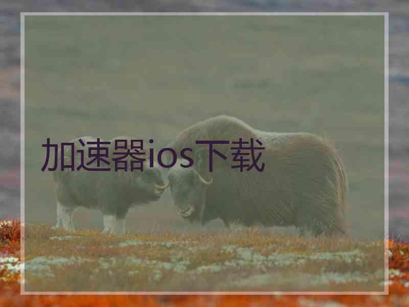 加速器ios下载