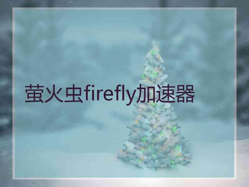 萤火虫firefly加速器