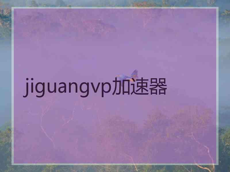 jiguangvp加速器