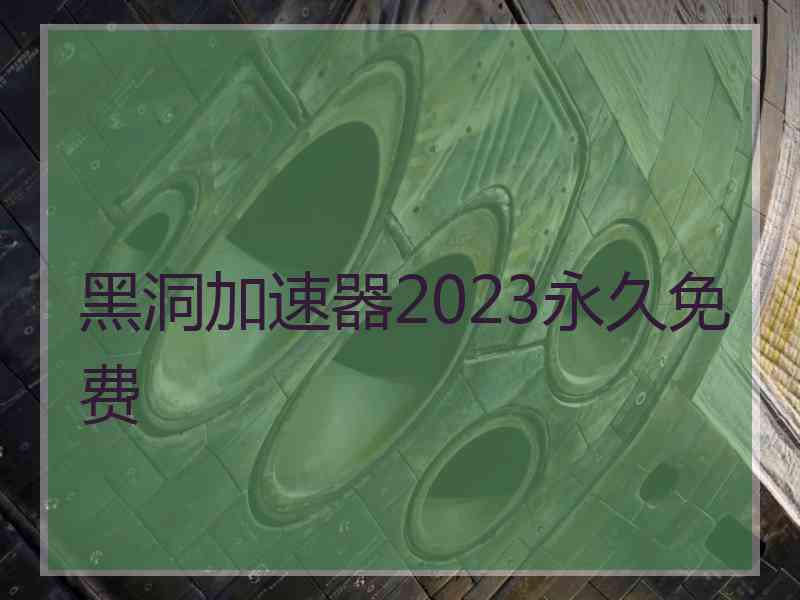 黑洞加速器2023永久免费