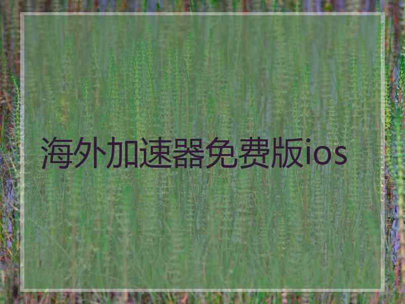 海外加速器免费版ios