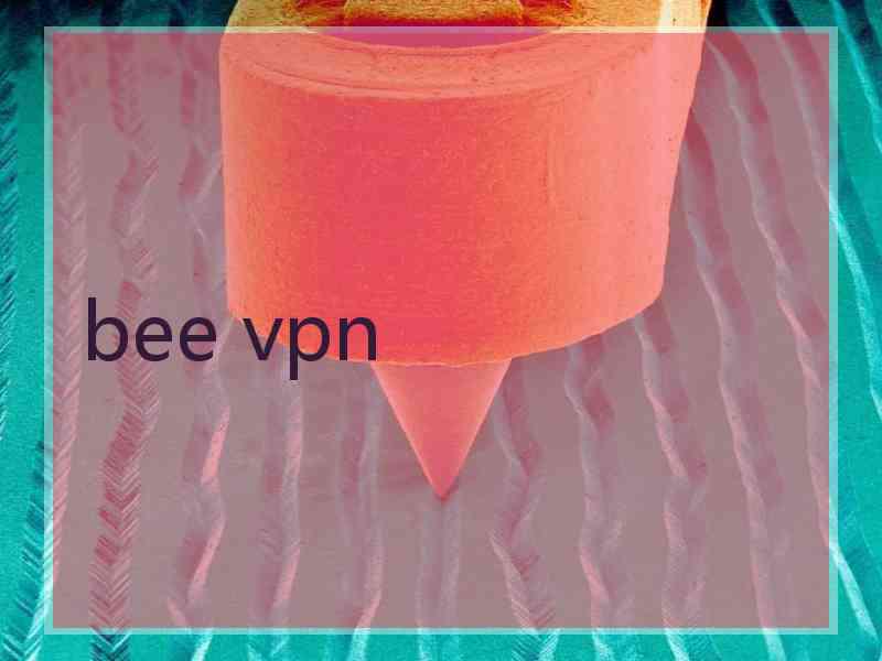 bee vpn