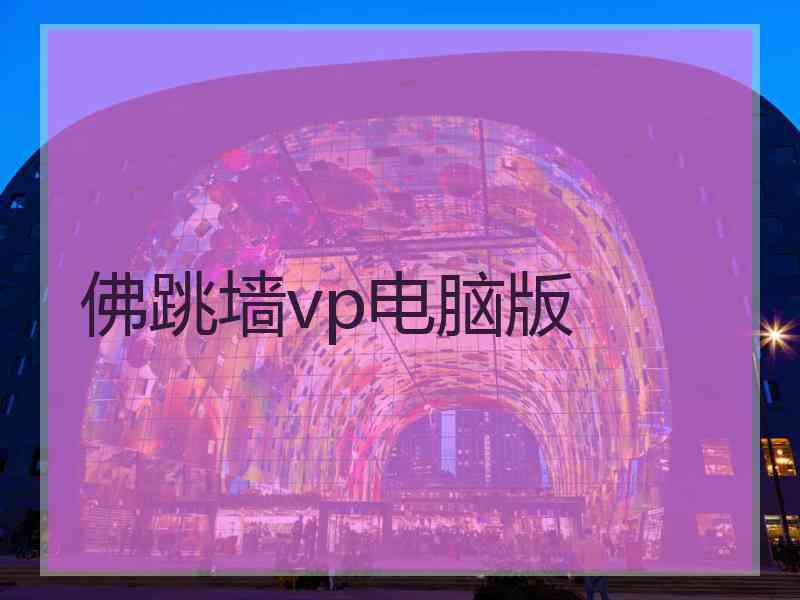 佛跳墙vp电脑版